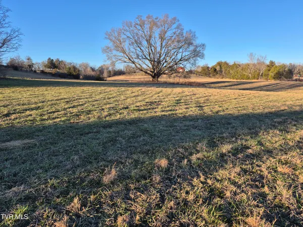 $112,000 | 0 Kite Lane, Unit 14, Mosheim, TN 37818