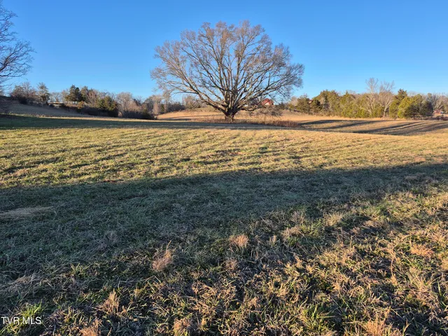 $112,000 | 0 Kite Lane, Unit 14, Mosheim, TN 37818