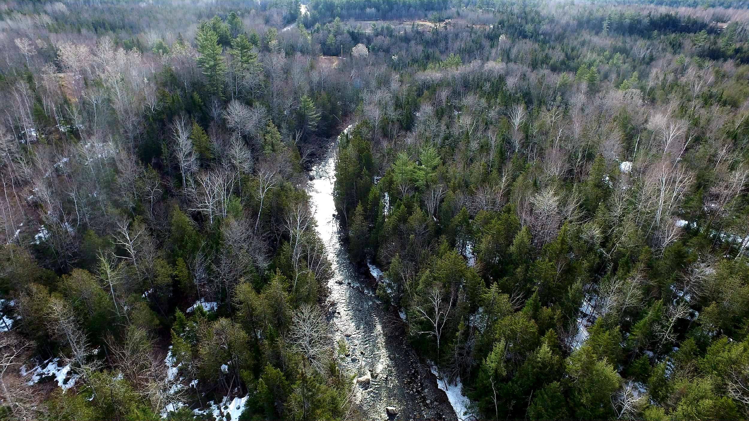 Tbd Reed's Mill Road Madrid Township, ME 04966 - Photo 9 of 22 20200427_123321