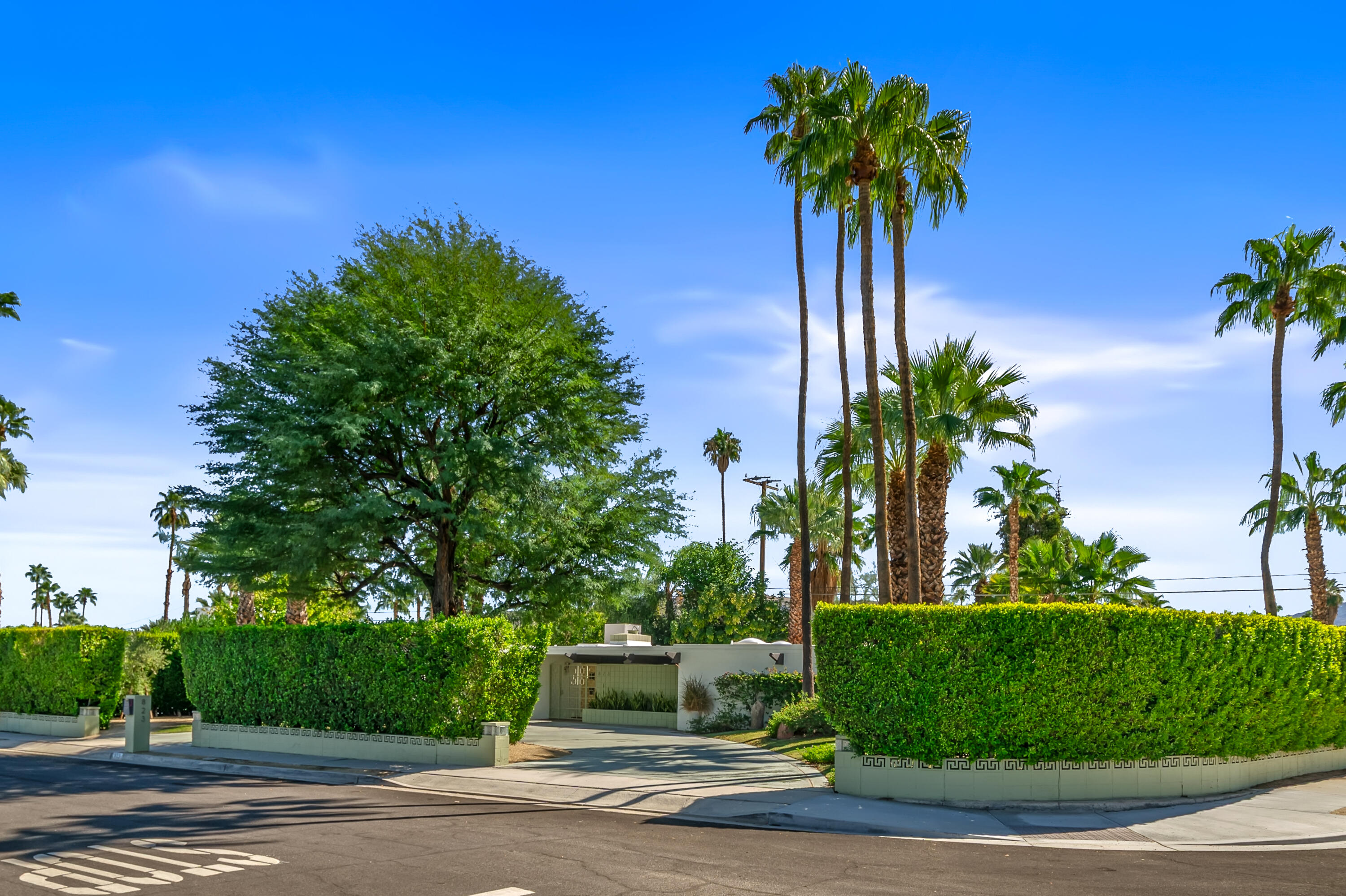 823 San Lucas Road Palm Springs, CA 92264 - Photo 2 of 71 a view of a yard with palm trees