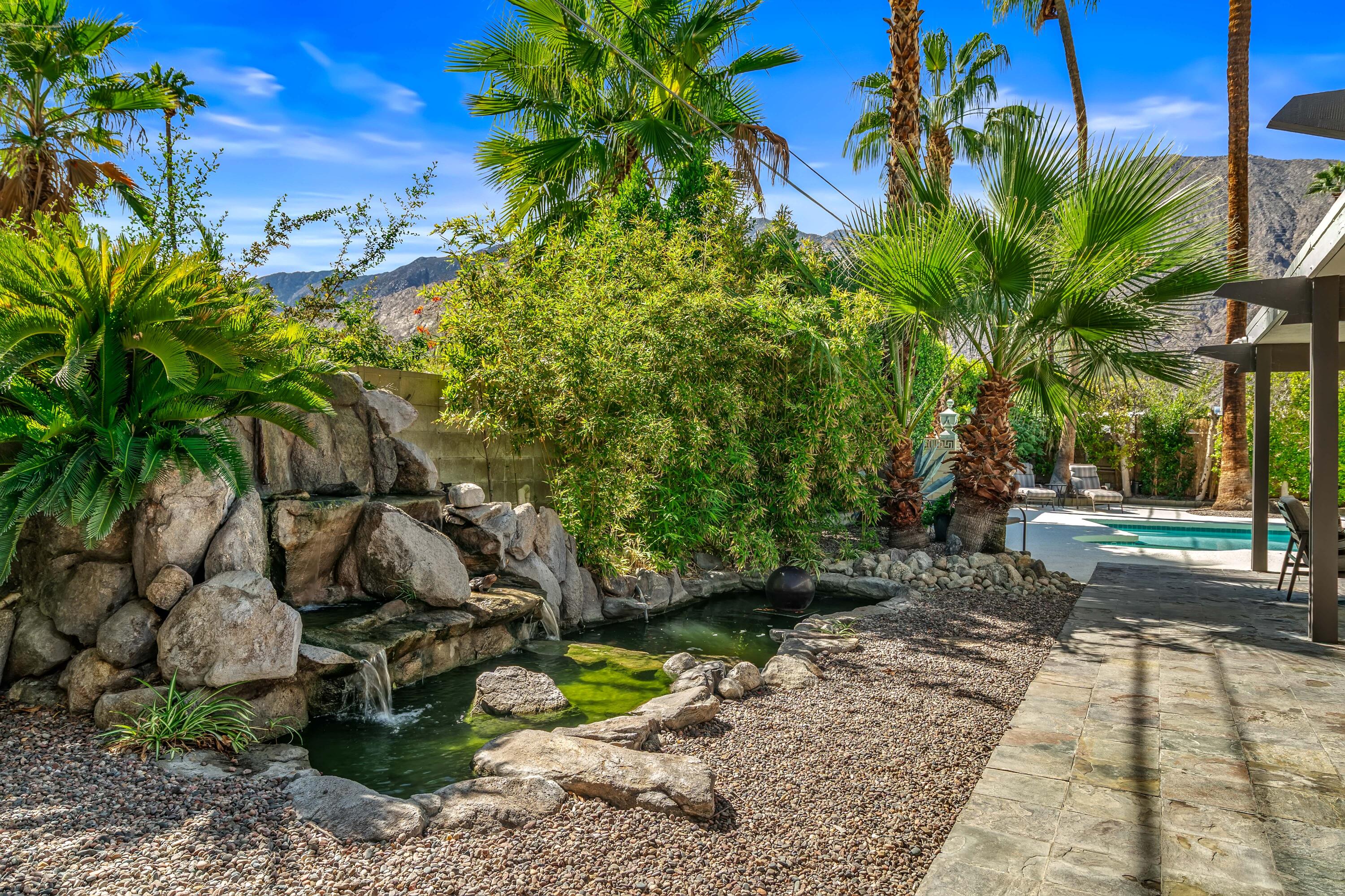 823 San Lucas Road Palm Springs, CA 92264 - Photo 41 of 71 a view of a yard with plants and palm trees
