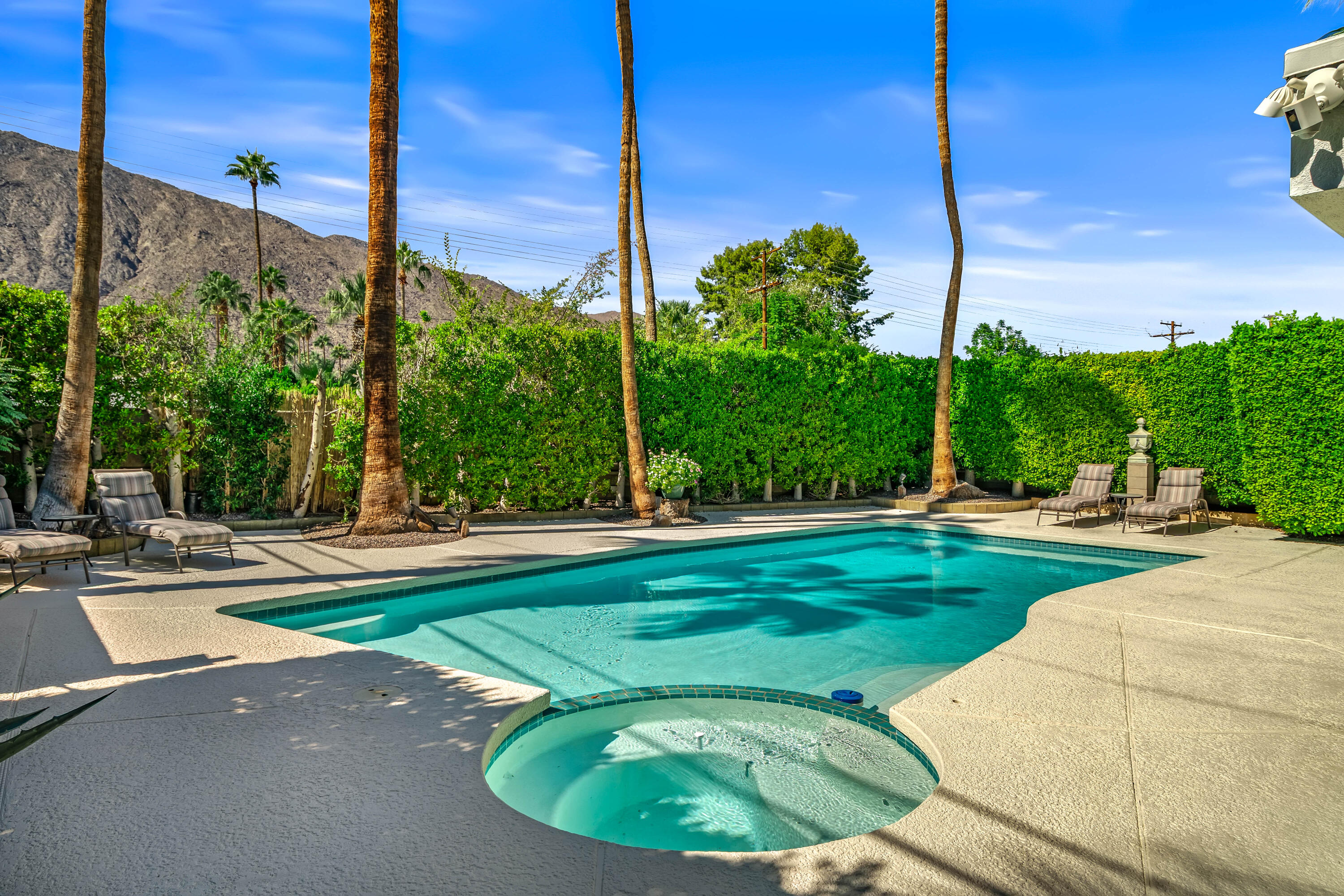 823 San Lucas Road Palm Springs, CA 92264 - Photo 45 of 71 a view of a backyard with palm tree