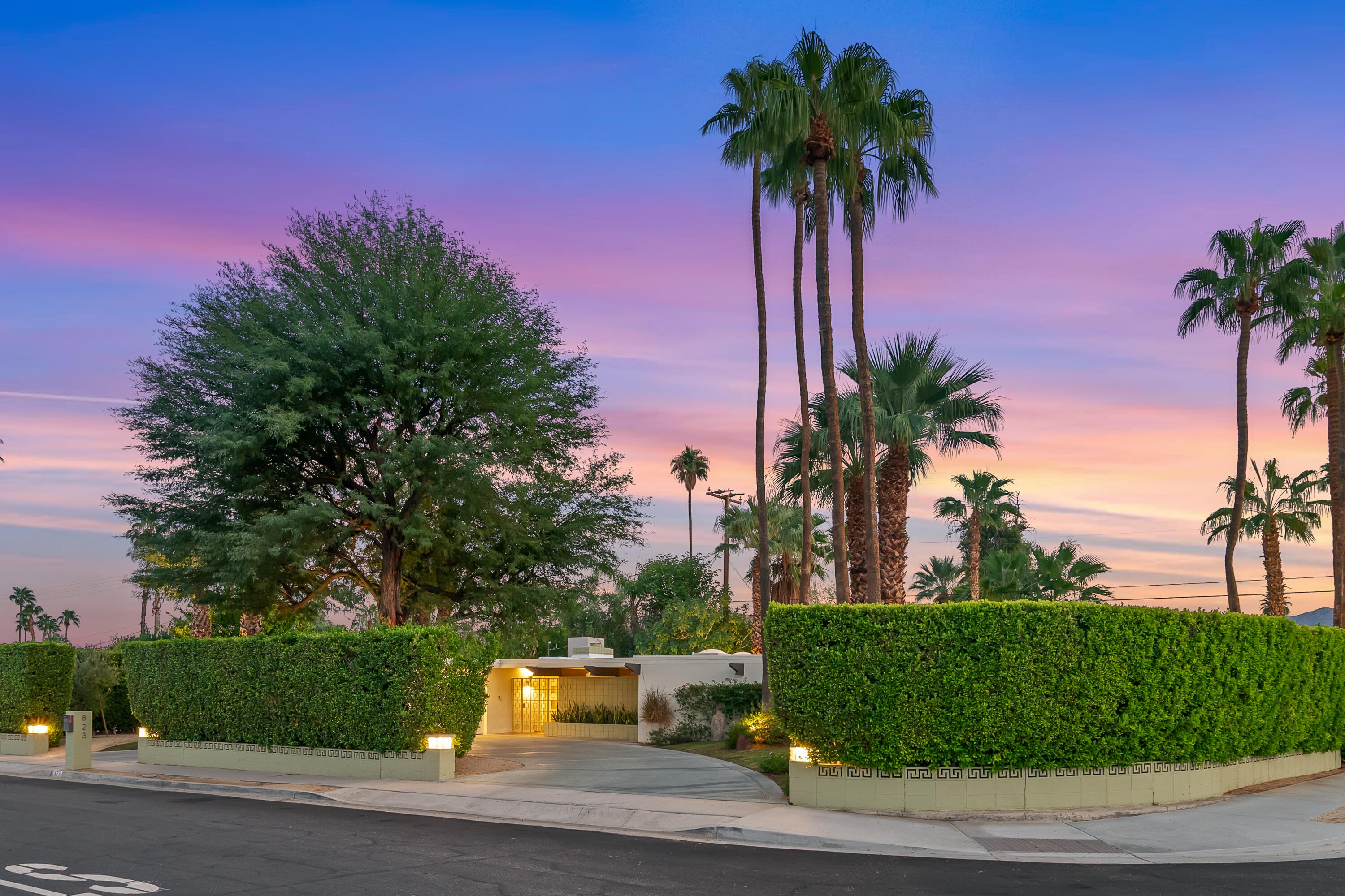 823 San Lucas Road Palm Springs, CA 92264 - Photo 53 of 71 a palm tree sitting in front of a house with a garden