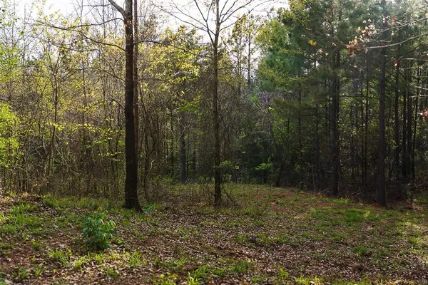 $499,999 | 0 County Road 839, Nacogdoches, TX 75964