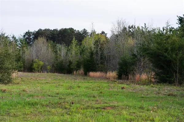 $499,999 | 0 County Road 839, Nacogdoches, TX 75964