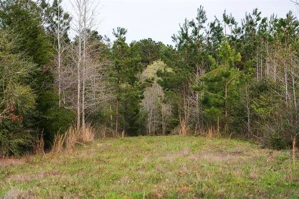 $499,999 | 0 County Road 839, Nacogdoches, TX 75964