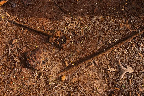 $499,999 | 0 County Road 839, Nacogdoches, TX 75964