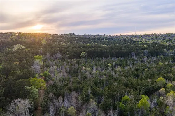 $499,999 | 0 County Road 839, Nacogdoches, TX 75964