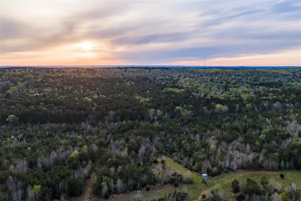 $499,999 | 0 County Road 839, Nacogdoches, TX 75964