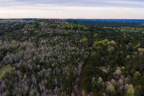 $499,999 | 0 County Road 839, Nacogdoches, TX 75964