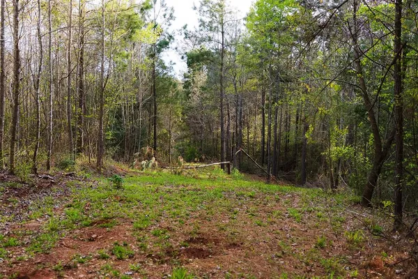$499,999 | 0 County Road 839, Nacogdoches, TX 75964