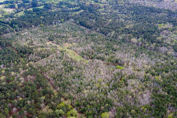 $499,999 | 0 County Road 839, Nacogdoches, TX 75964