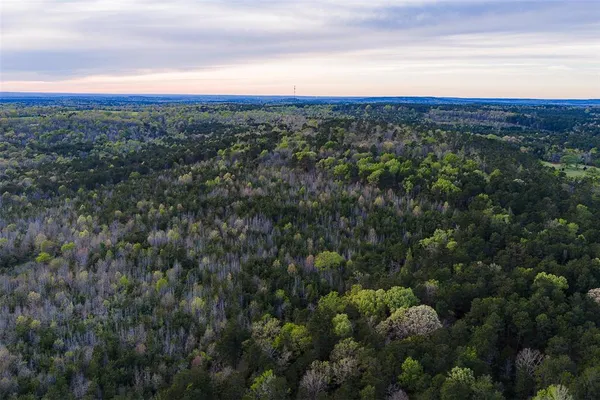 $499,999 | 0 County Road 839, Nacogdoches, TX 75964