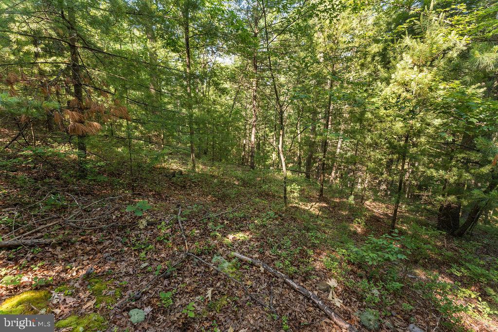 6484 Carpers Pike Yellow Spring, WV 26865 - Photo 34 of 36