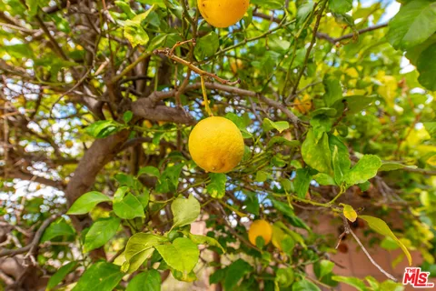 $775,000 | 884 Boxthorn Avenue, Newbury Park, CA 91320