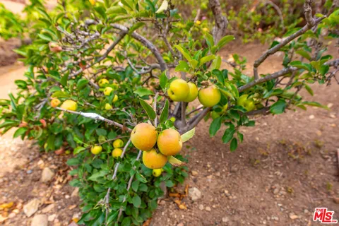 $775,000 | 884 Boxthorn Avenue, Newbury Park, CA 91320