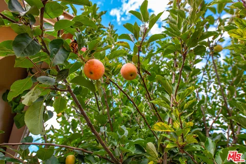 $775,000 | 884 Boxthorn Avenue, Newbury Park, CA 91320