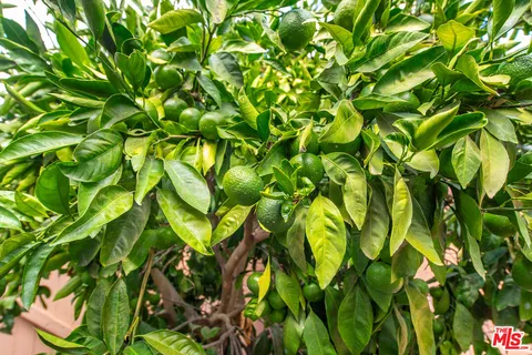 $775,000 | 884 Boxthorn Avenue, Newbury Park, CA 91320