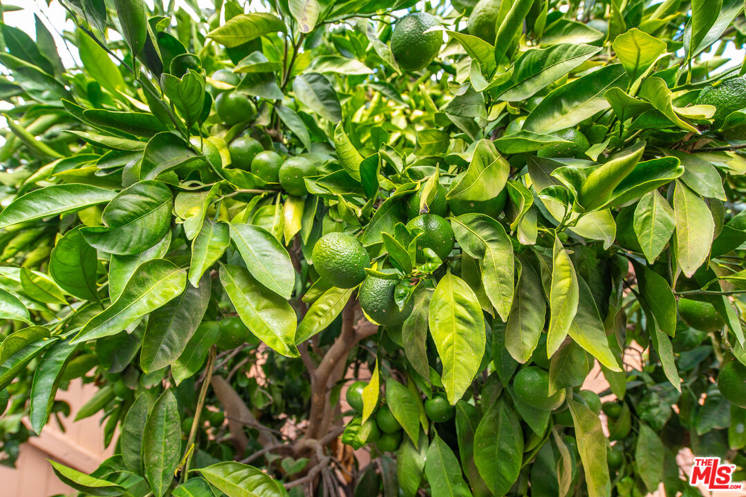 884 Boxthorn Avenue Newbury Park, CA 91320 - Photo 29 of 46