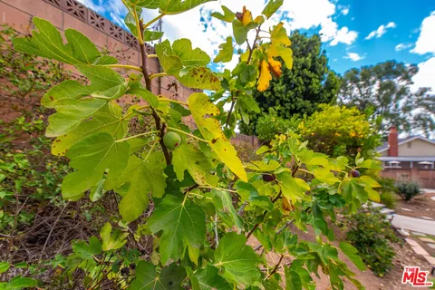 $775,000 | 884 Boxthorn Avenue, Newbury Park, CA 91320