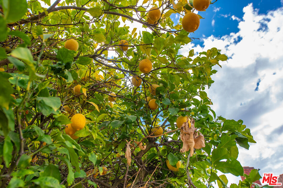 884 Boxthorn Avenue Newbury Park, CA 91320 - Photo 32 of 46