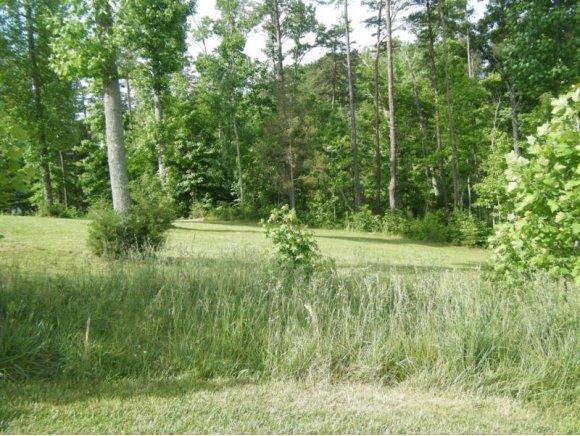 1555 Roxboro Lake Road Leasburg, NC 27291 - Photo 8 of 19 Gallery Image 8