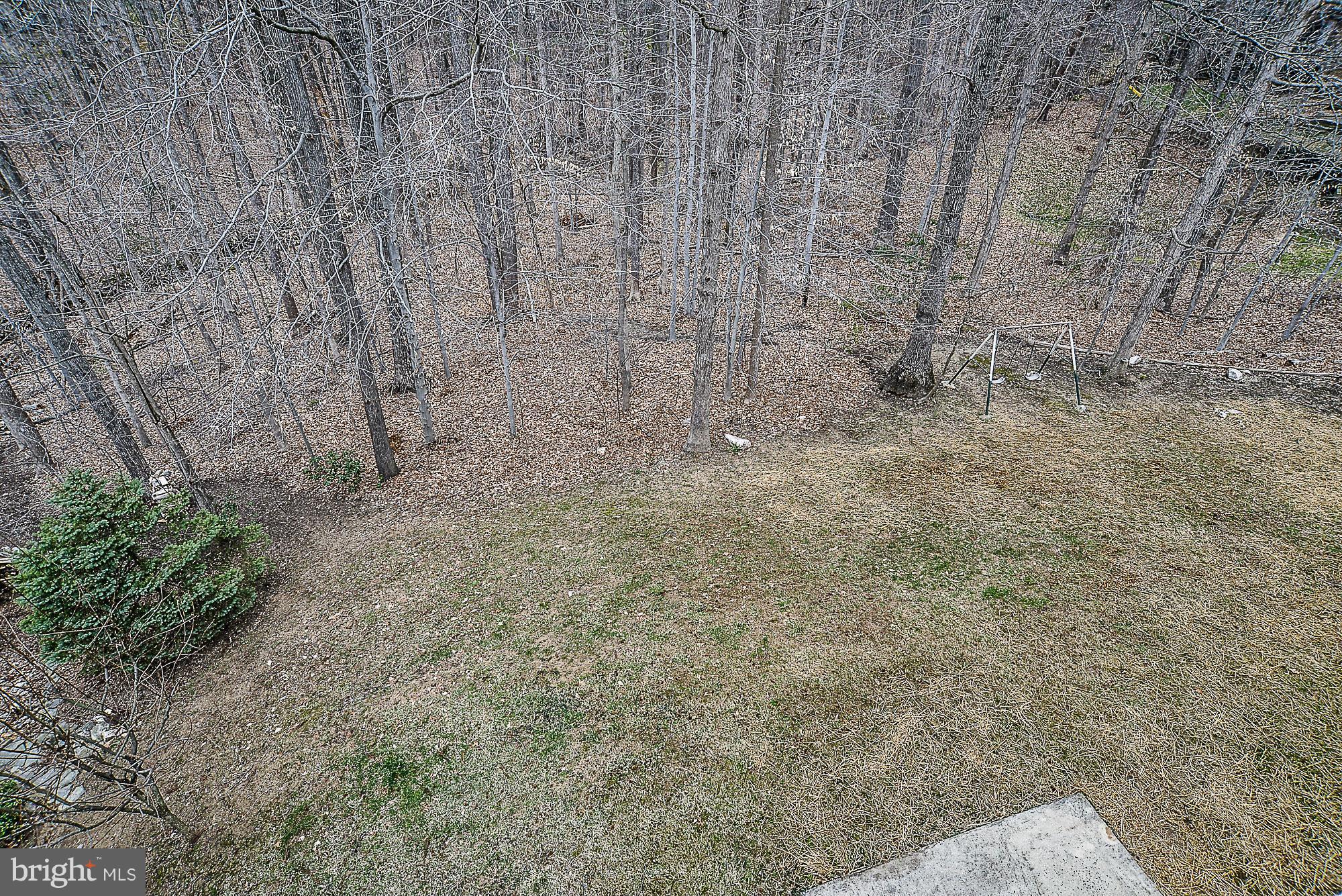 8664 Center Road Springfield, VA 22152 - Photo 30 of 30 Home backs to beautiful hardwood trees