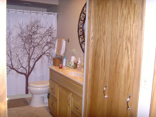 3605 Cutty Sark Road Cherry Valley, IL 61016 - Photo 10 of 11 a bathroom with a toilet and a shower curtain