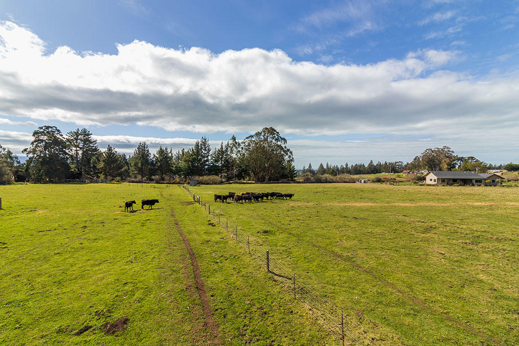 117 Table Bluff Road Loleta, CA 95551 - Photo 109 of 127 110