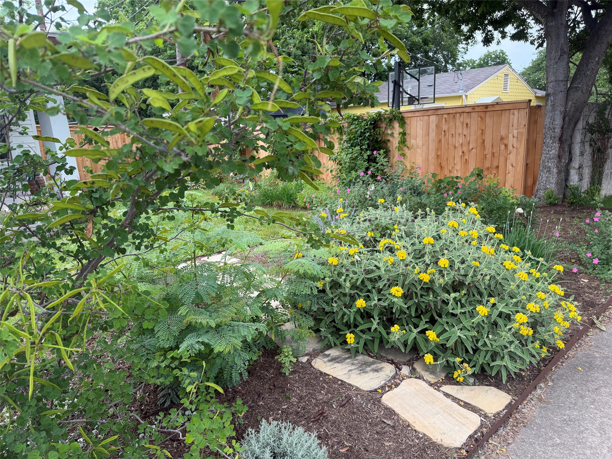 5305 Guadalupe Street, Unit A Austin, TX 78751 - Photo 30 of 31 Landscaped garden bed featuring diverse plantings, stepping stones, and a natural wood fence