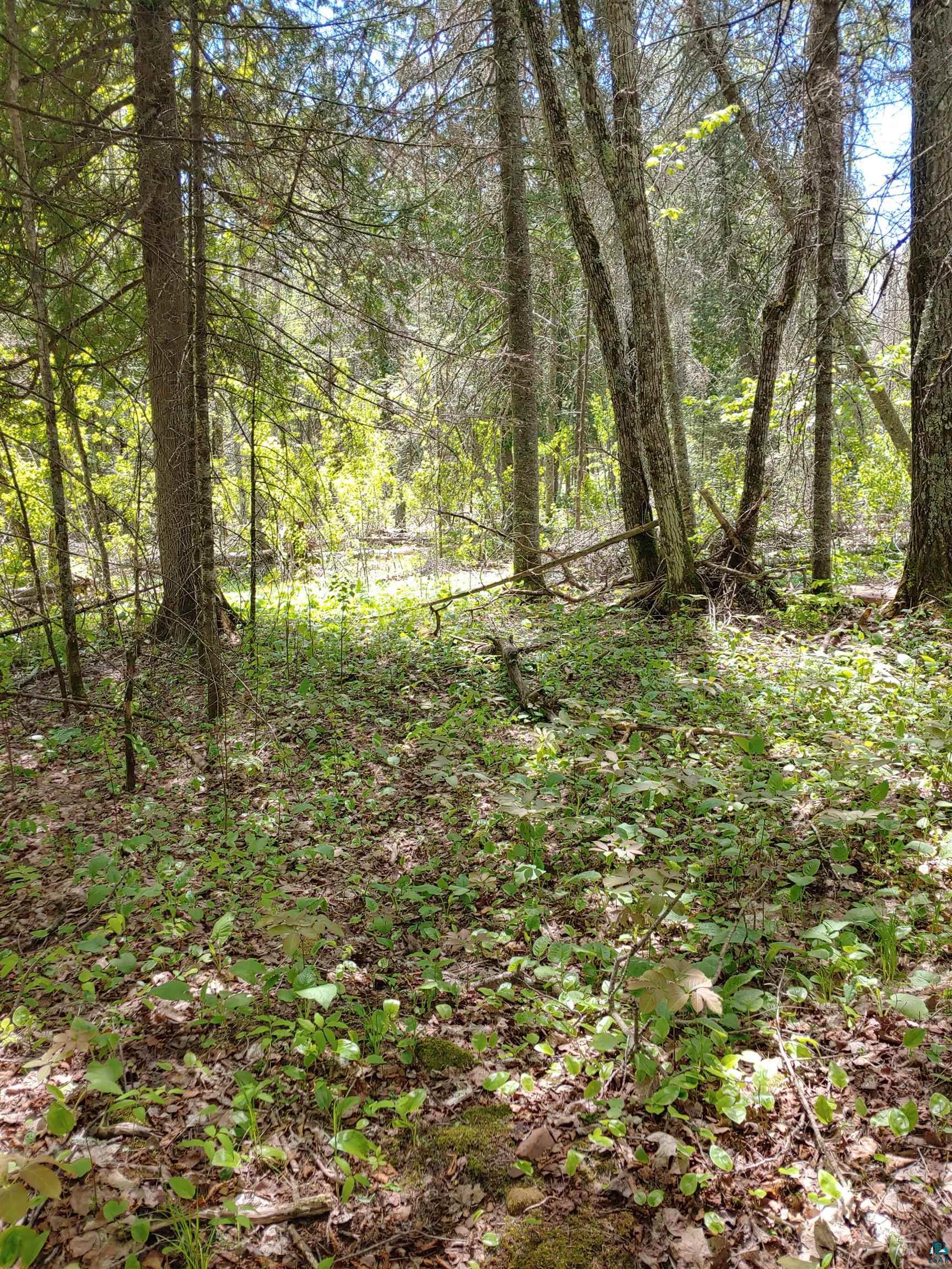 Two Gun Club Road Two Harbors, MN 55616 - Photo 8 of 13