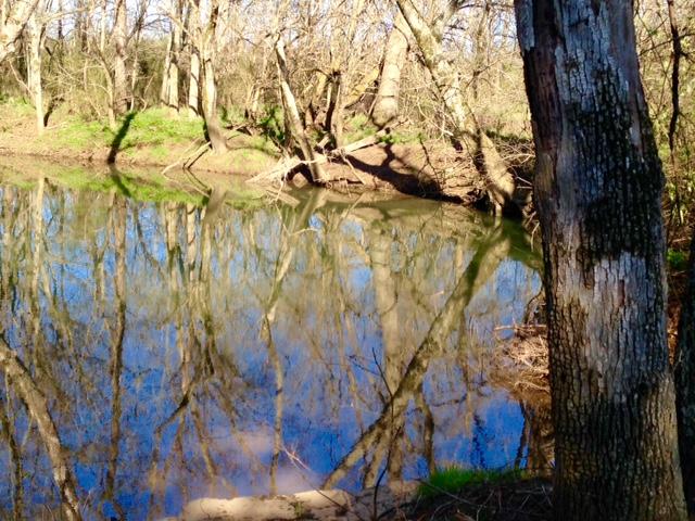 143 Charlie Shaw Road Lewisburg, TN 37091 - Photo 19 of 20 Gallery Image 19