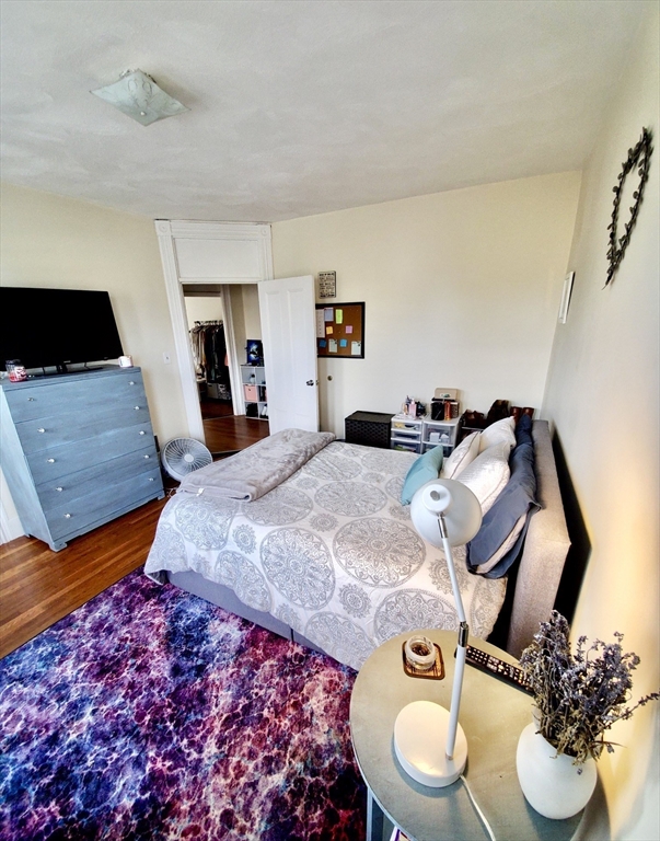 40 Forest Street, Unit 3 Boston, MA 02119 - Photo 14 of 20 a living room with furniture and a mirror