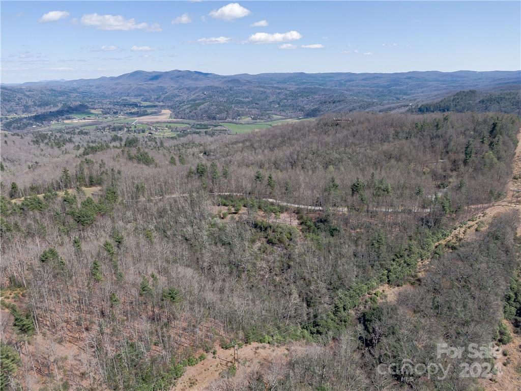 8 B Reserve Road Pisgah Forest, NC 28768 - Photo 12 of 23