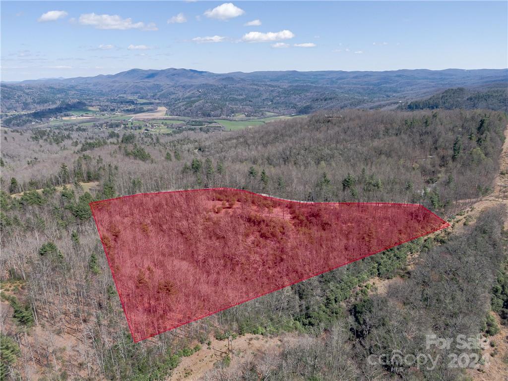 8 B Reserve Road Pisgah Forest, NC 28768 - Photo 13 of 23