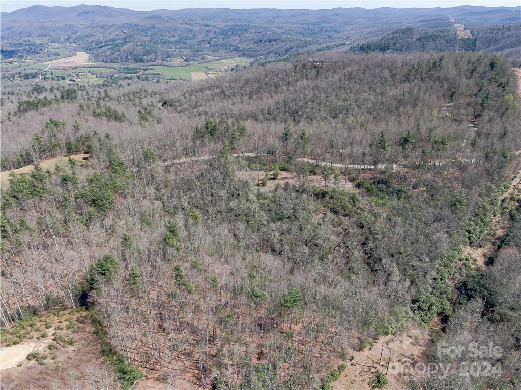 8 B Reserve Road Pisgah Forest, NC 28768 - Photo 14 of 23