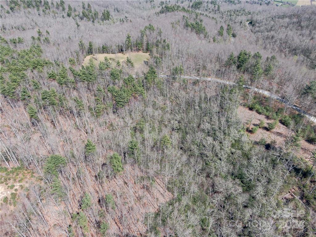 8 B Reserve Road Pisgah Forest, NC 28768 - Photo 16 of 23