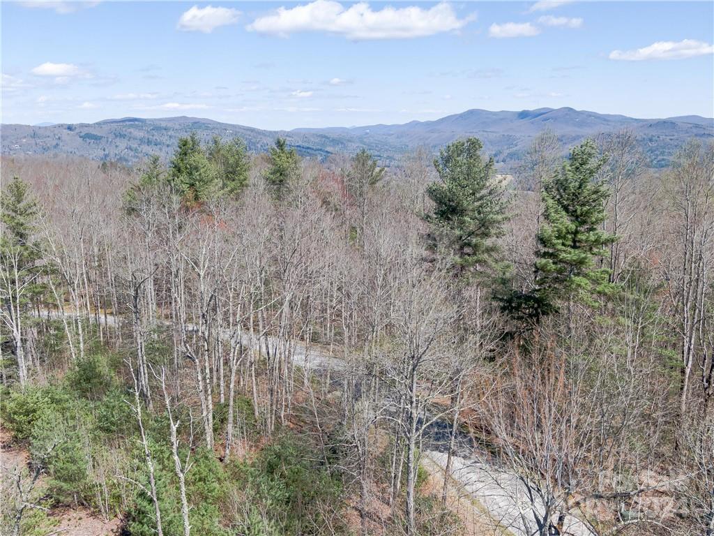 8 B Reserve Road Pisgah Forest, NC 28768 - Photo 18 of 23