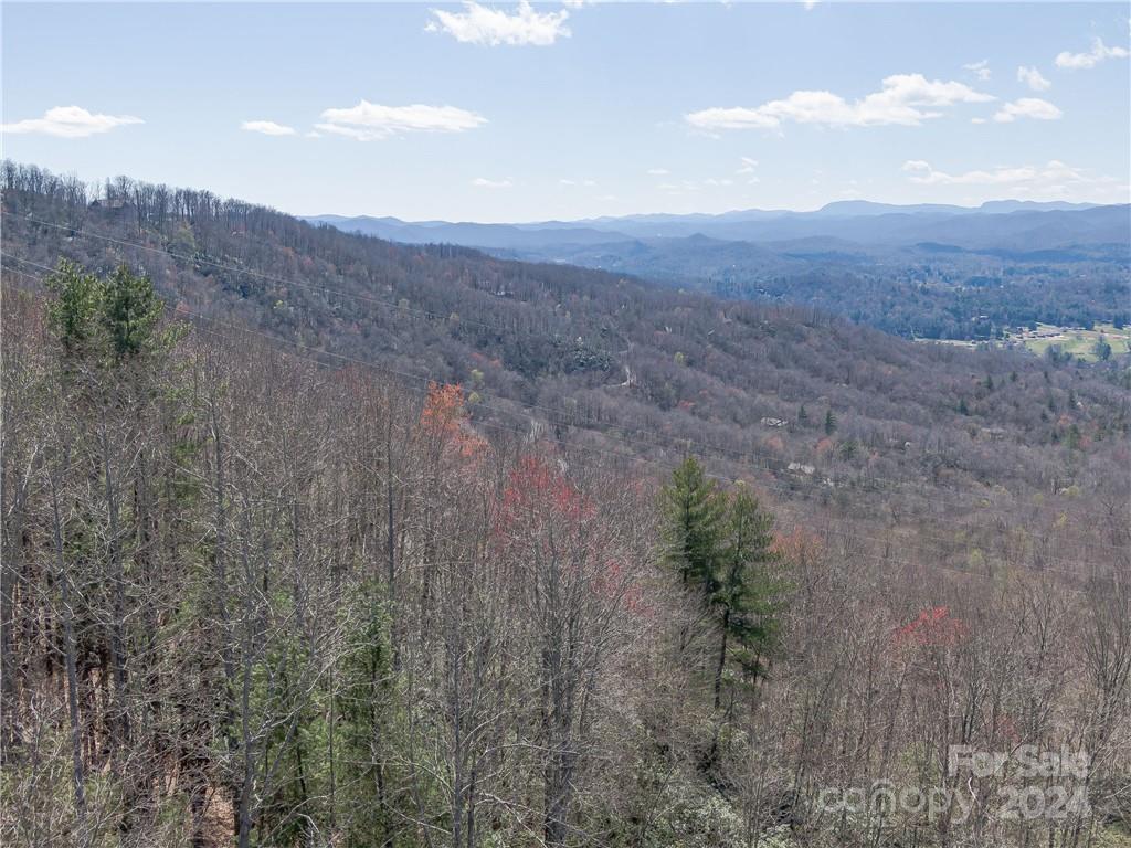 8 B Reserve Road Pisgah Forest, NC 28768 - Photo 19 of 23
