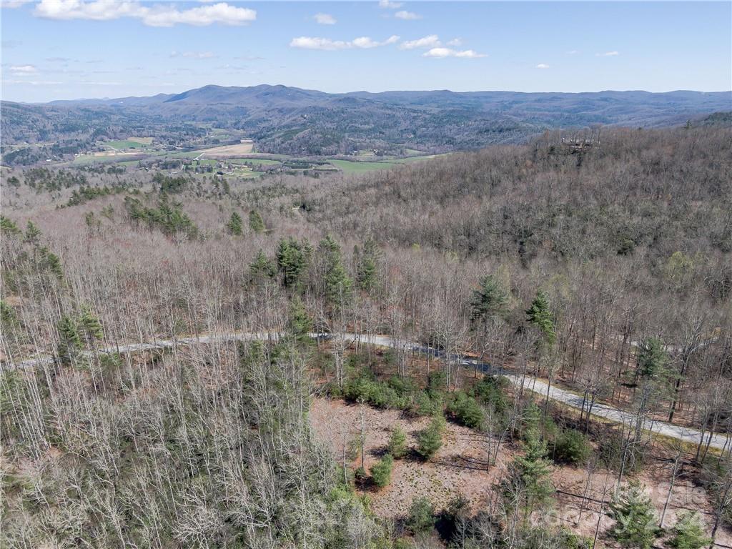 8 B Reserve Road Pisgah Forest, NC 28768 - Photo 20 of 23