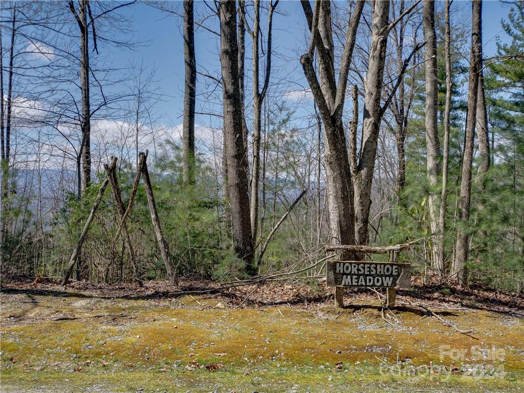 8 B Reserve Road Pisgah Forest, NC 28768 - Photo 2 of 23