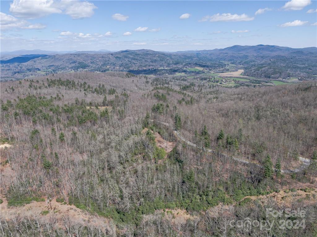 8 B Reserve Road Pisgah Forest, NC 28768 - Photo 21 of 23