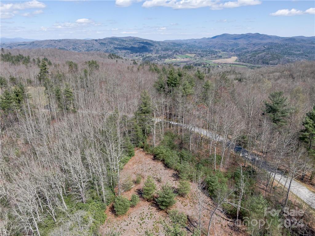 8 B Reserve Road Pisgah Forest, NC 28768 - Photo 22 of 23