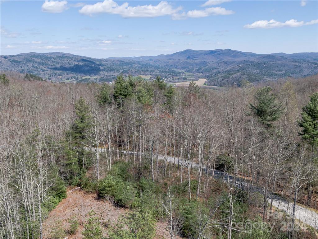 8 B Reserve Road Pisgah Forest, NC 28768 - Photo 23 of 23