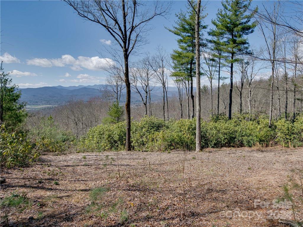 8 B Reserve Road Pisgah Forest, NC 28768 - Photo 3 of 23