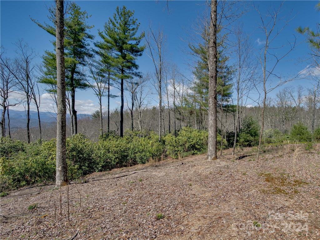 8 B Reserve Road Pisgah Forest, NC 28768 - Photo 4 of 23