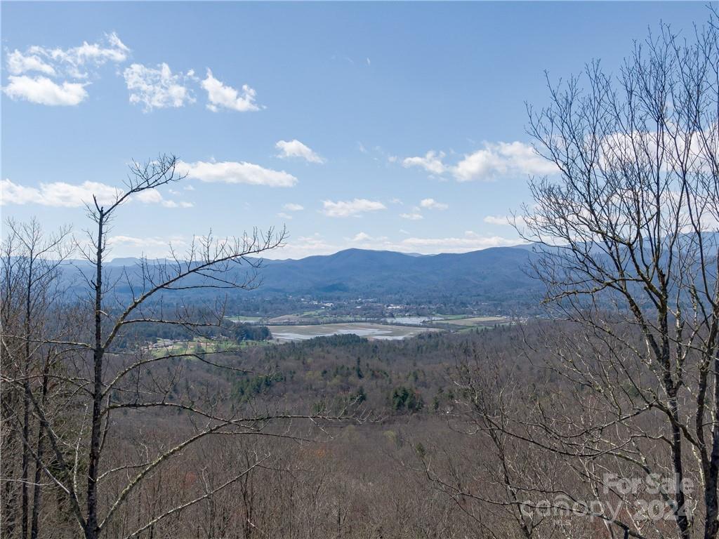 8 B Reserve Road Pisgah Forest, NC 28768 - Photo 5 of 23