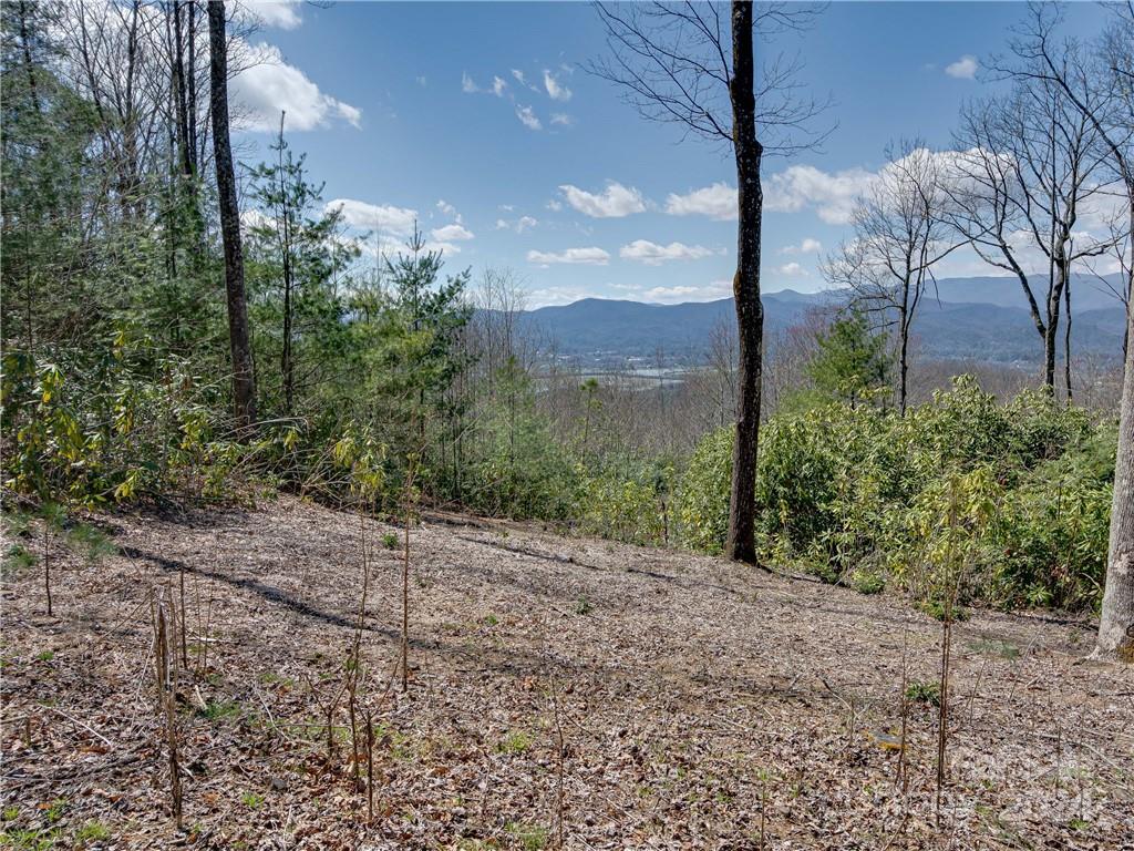 8 B Reserve Road Pisgah Forest, NC 28768 - Photo 6 of 23