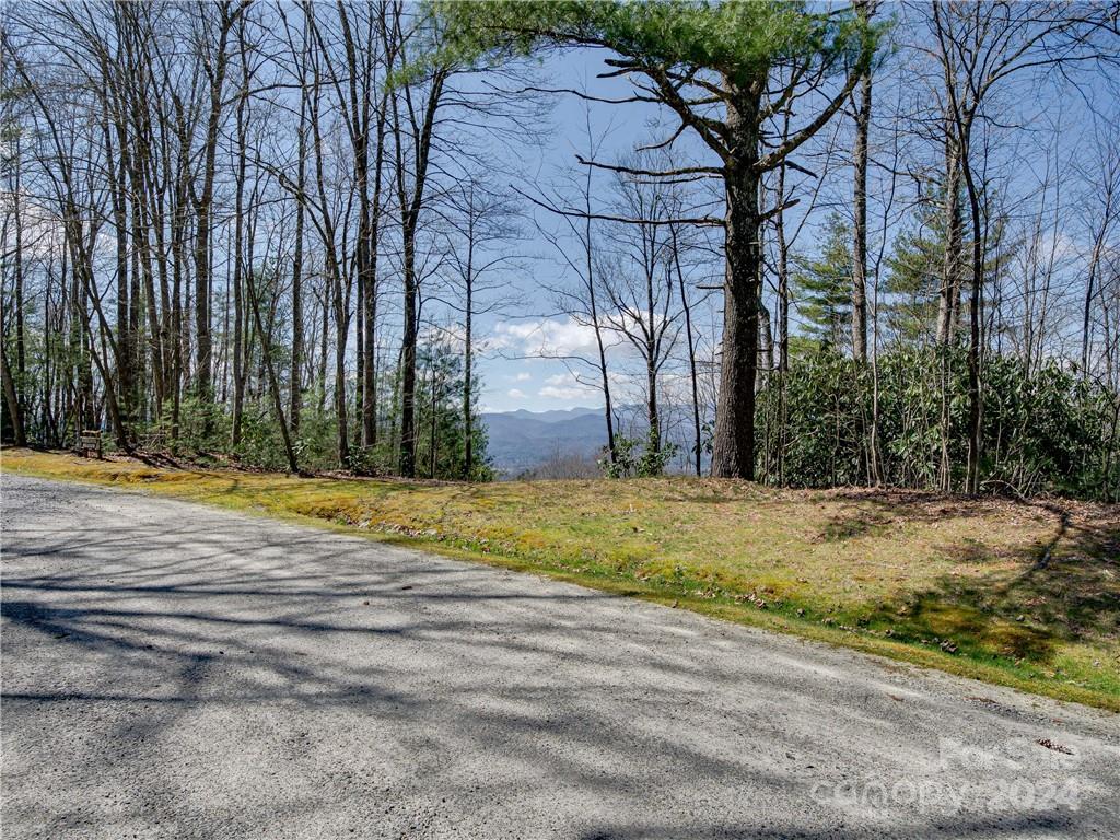 8 B Reserve Road Pisgah Forest, NC 28768 - Photo 8 of 23