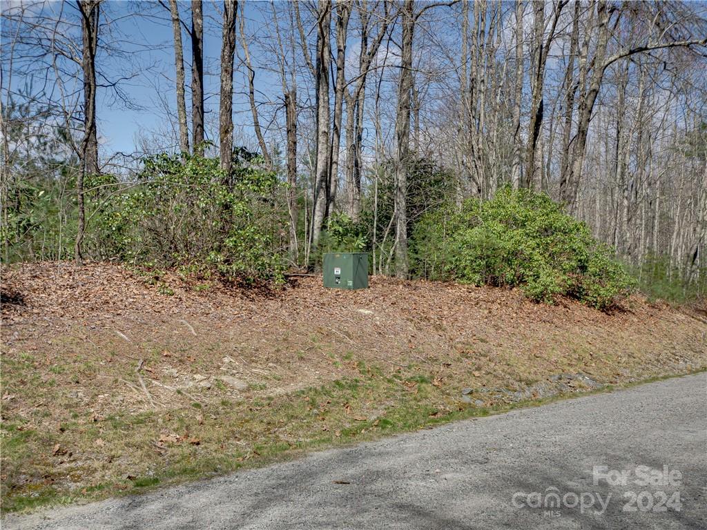 8 B Reserve Road Pisgah Forest, NC 28768 - Photo 9 of 23